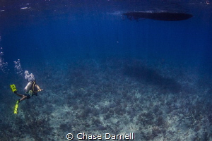 "Clarity"
Some days the visibility here in Cayman really... by Chase Darnell 